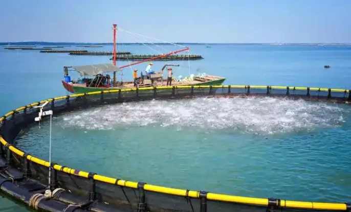 MMO (Ru-Ir) anode assembly for seawater aquaculture Suitable | NAVI Titanium MMO (Ru-Ir) anode assembly for seawater aquaculture Suitable | NAVI Titanium