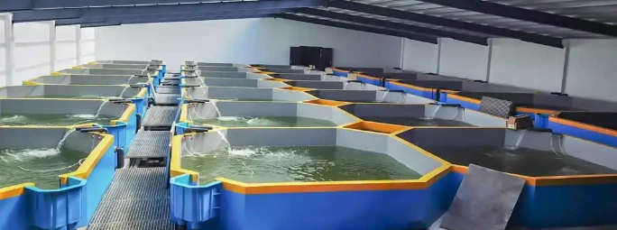 MMO (Ru-Ir) anode assembly for seawater aquaculture Load | NAVI Titanium MMO (Ru-Ir) anode assembly for seawater aquaculture Load | NAVI Titanium